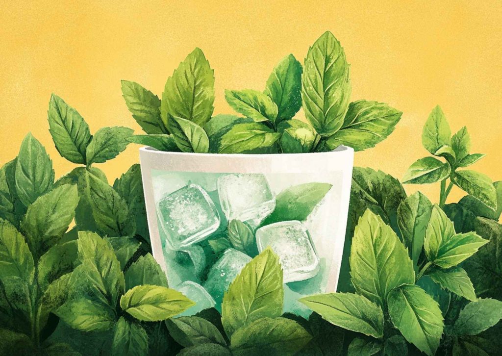 menthe_poivrée_intestin irritable